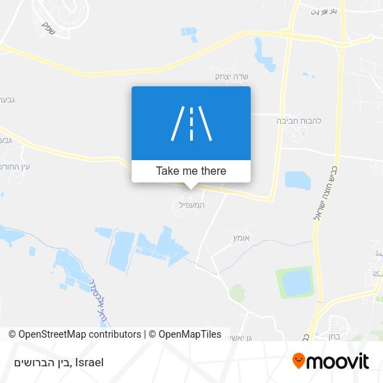 בין הברושים map