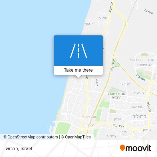Карта הברוש