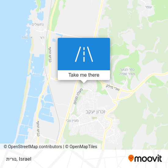 נורית map