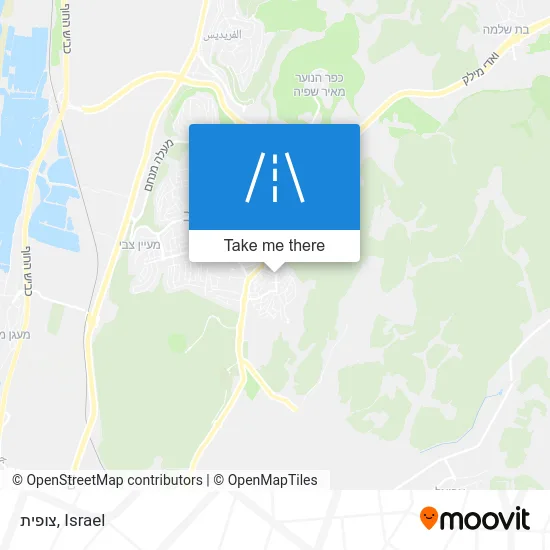 Карта צופית