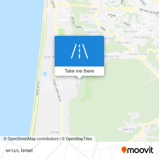 Карта הברוש