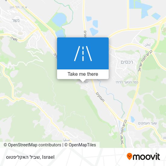 שביל האקליפטוס map