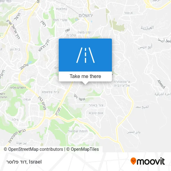 Карта דוד פלוסר