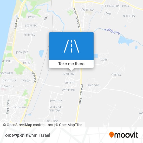 חורשת האקליפטוס map