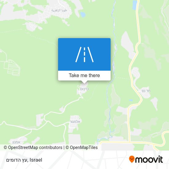 עץ הדומים map
