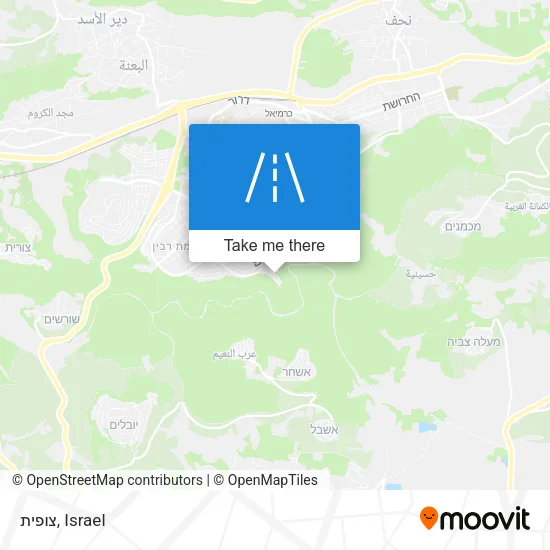 Карта צופית