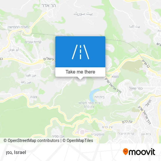גפן map