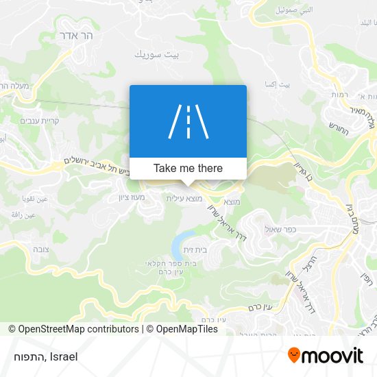 התפוח map