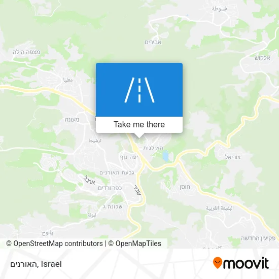 Карта האורנים