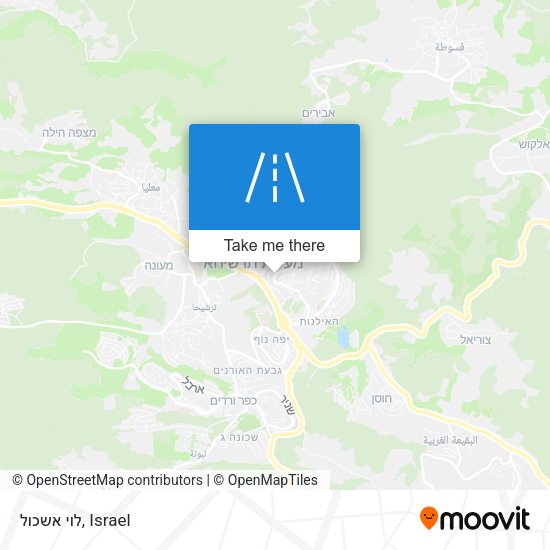 לוי אשכול map