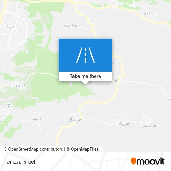 Карта הברוש