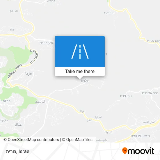 Карта צורית
