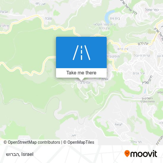 הברוש map