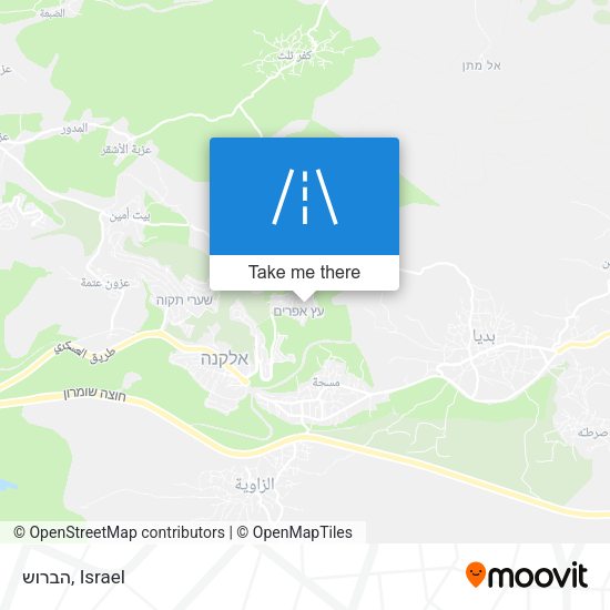 Карта הברוש