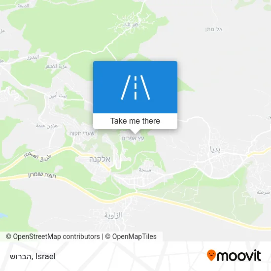 Карта הברוש