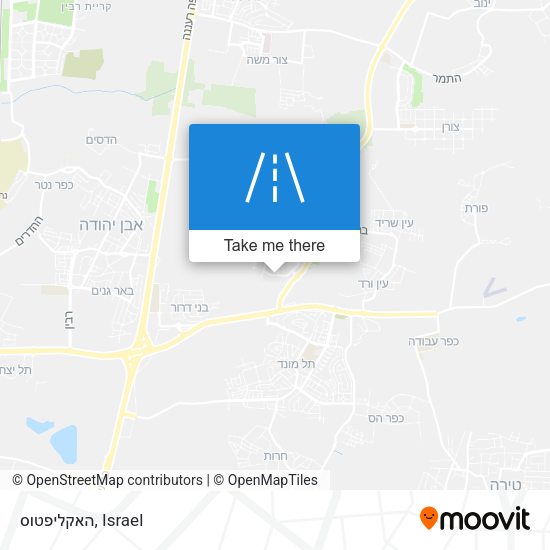 האקליפטוס map