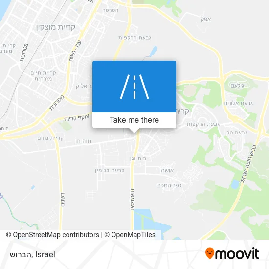 Карта הברוש