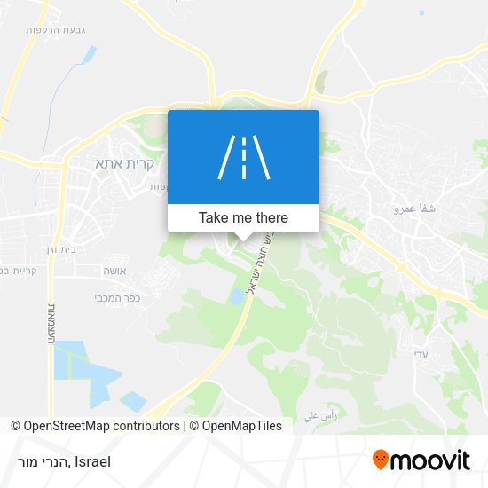 הנרי מור map