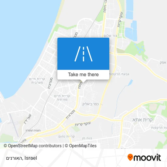Карта האורנים