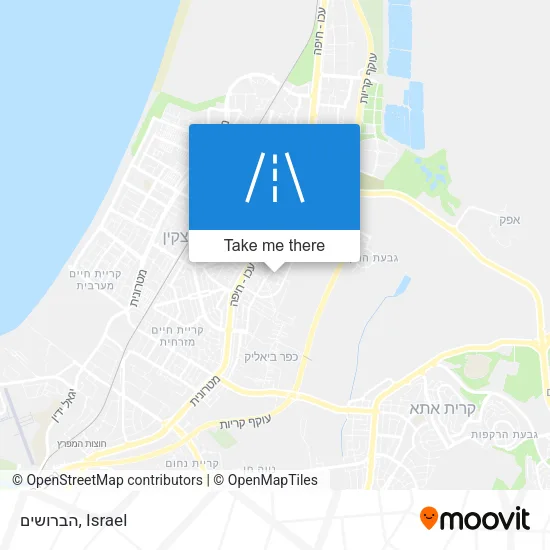 Карта הברושים