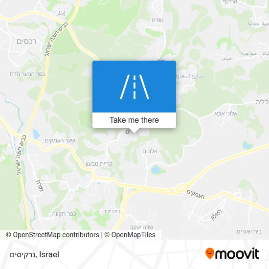 Карта נרקיסים