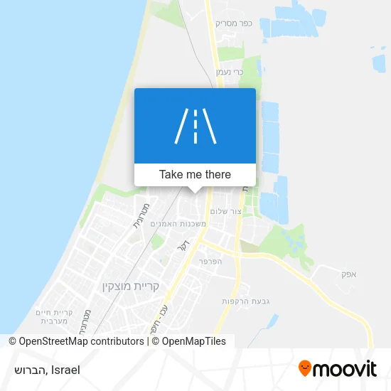 Карта הברוש