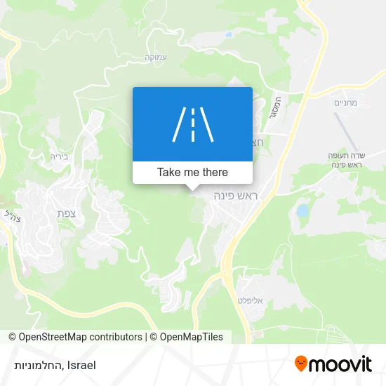 Карта החלמוניות