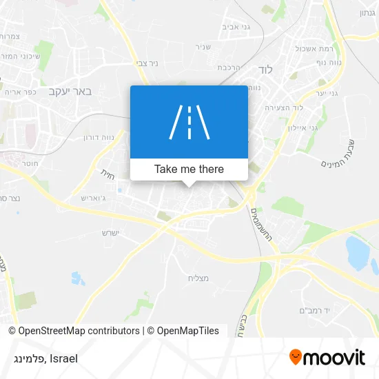 Карта פלמינג