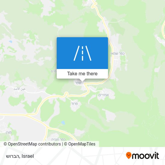 הברוש map