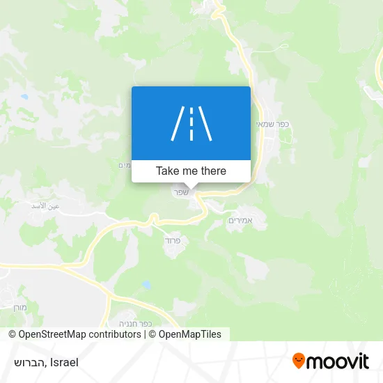 Карта הברוש