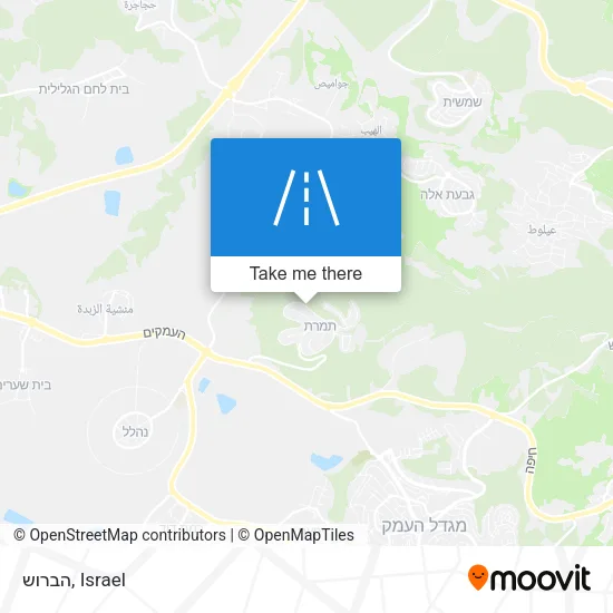 הברוש map