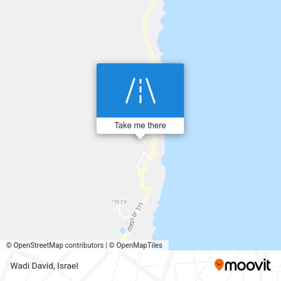 Wadi David map