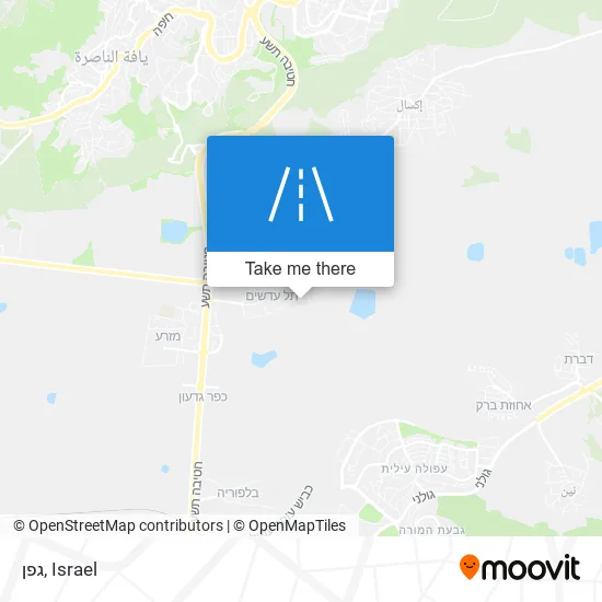 גפן map