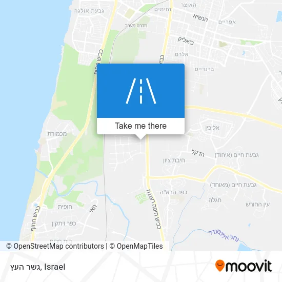 Карта גשר העץ