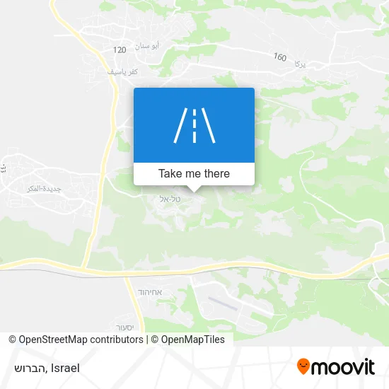 Карта הברוש