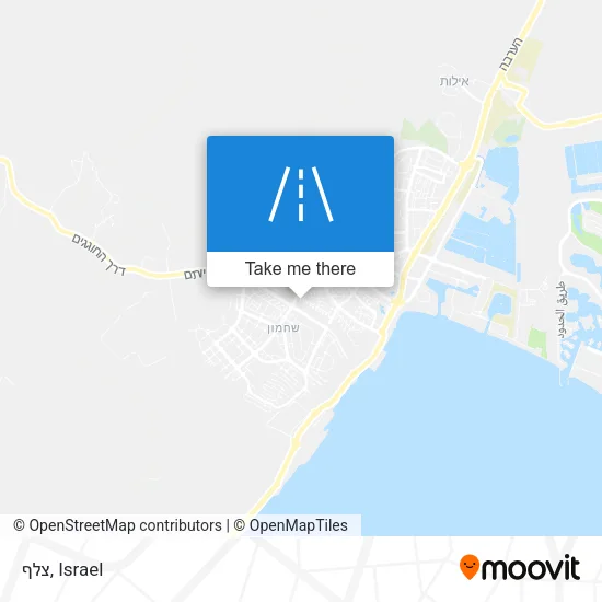 Карта צלף