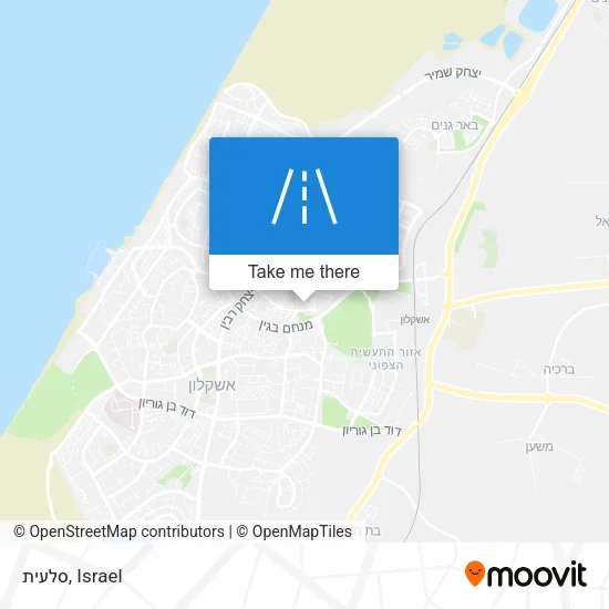 Карта סלעית