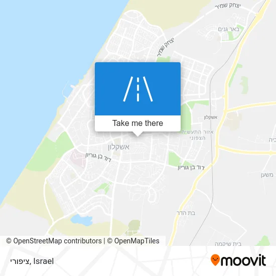 Карта ציפורי