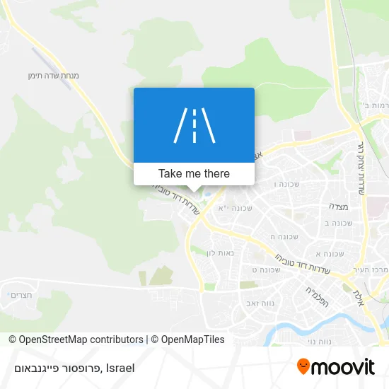 Карта פרופסור פייגנבאום