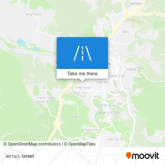Карта הברוש