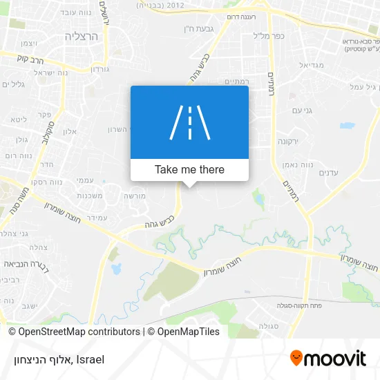 Карта אלוף הניצחון