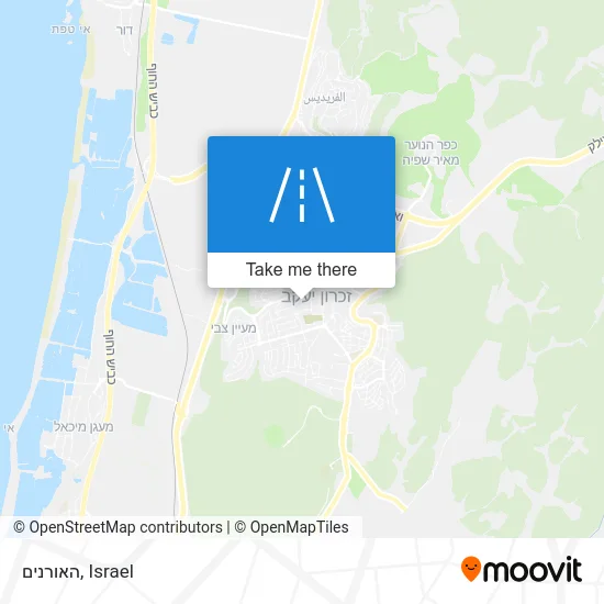 Карта האורנים