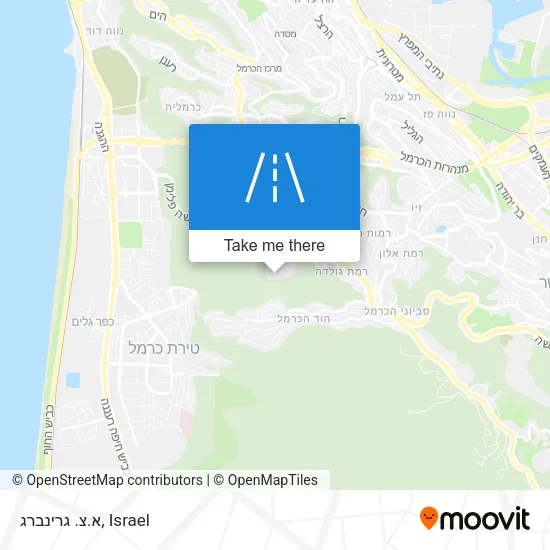 Карта א.צ. גרינברג