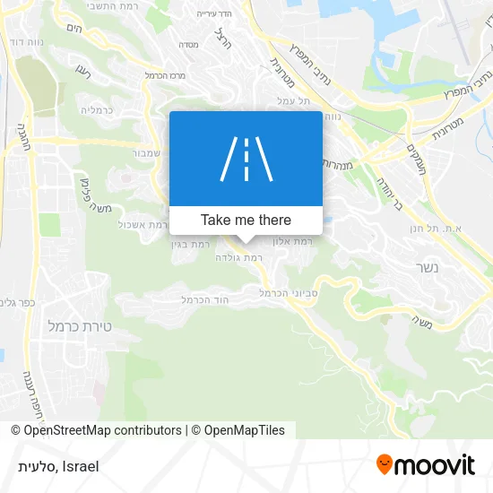 Карта סלעית