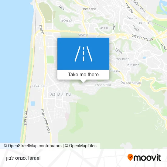 Карта פנחס לבון