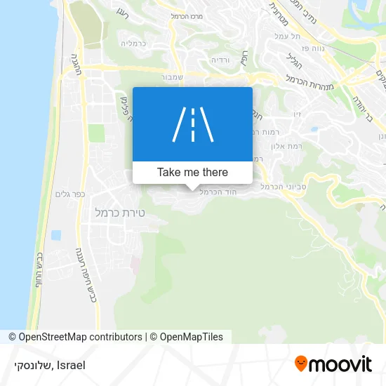 Карта שלונסקי