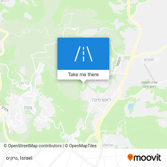 Карта נרקיס