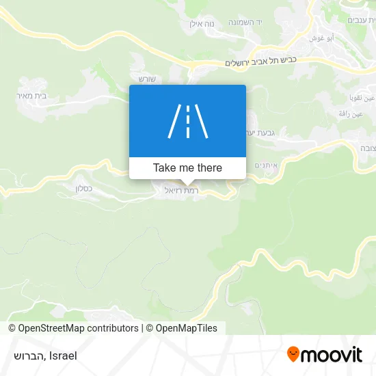 Карта הברוש