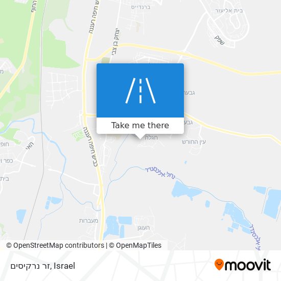 זר נרקיסים map