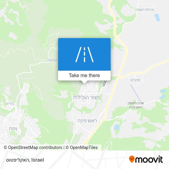 האקליפטוס map